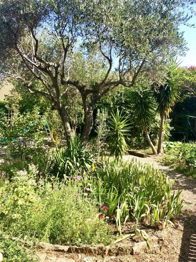 Les Pinsons Apartment La Ciotat Exterior photo